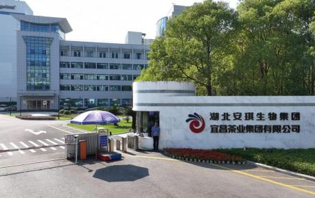 宜昌茶业集团有限公司